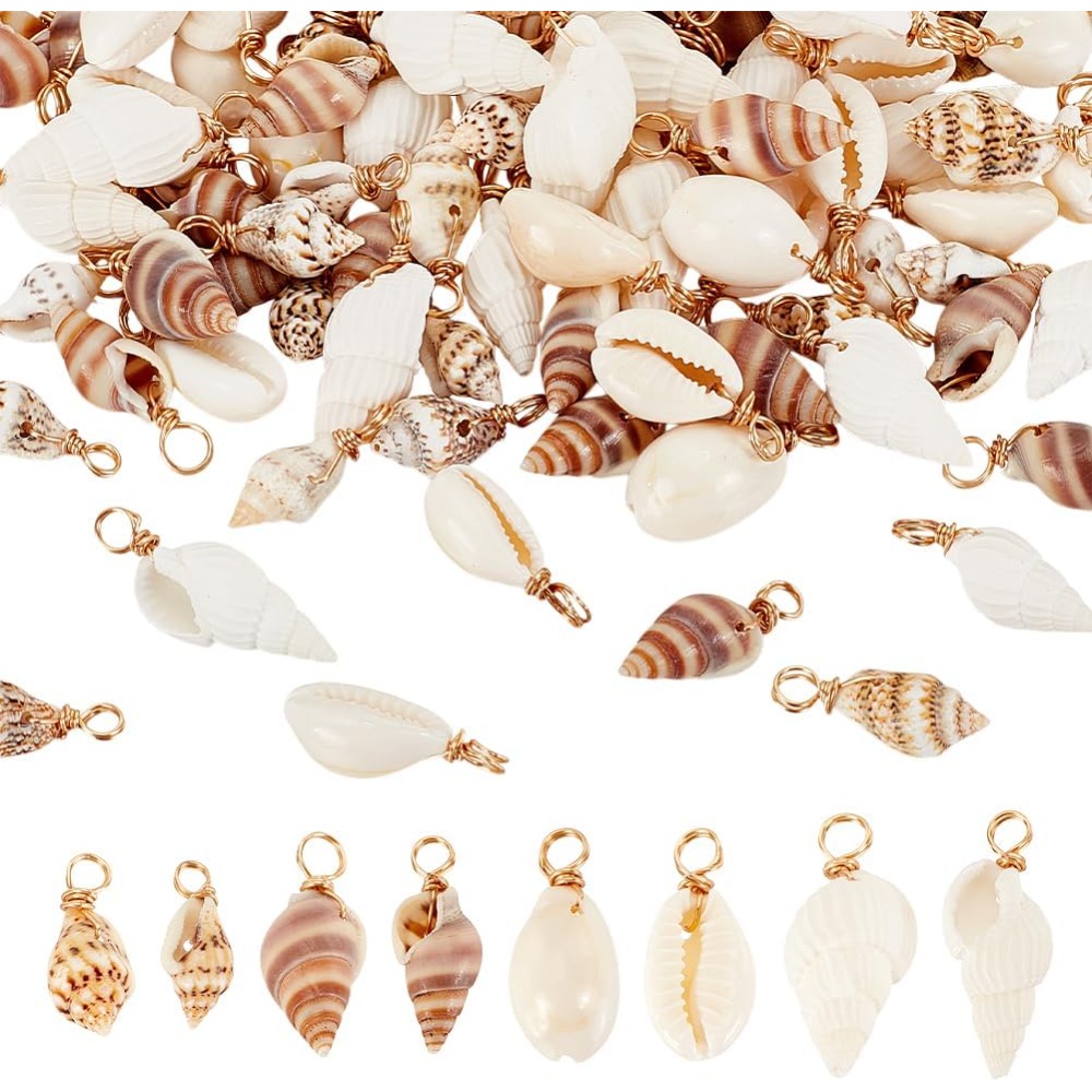 100pcs 4 Styles Natural Shell  - Jewelry Making Course review and price