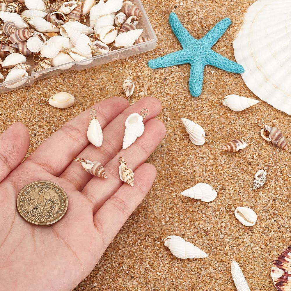 100pcs 4 Styles Natural Shell  - Jewelry Making Course review and price
